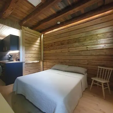 Pieni Asunto Maalla Navettarakennuksessa. Apartment Muurame
